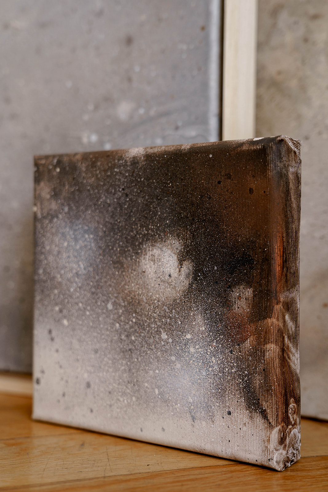 Korzenie - obrazek 2