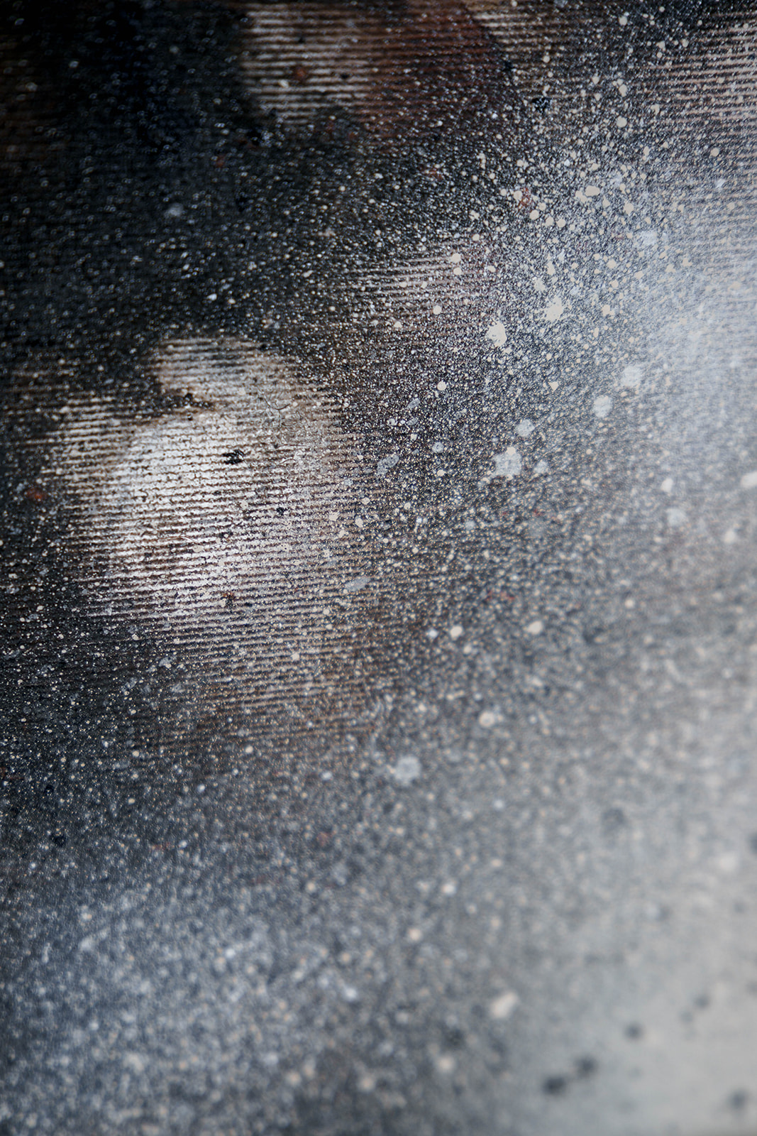 Korzenie - obrazek 7