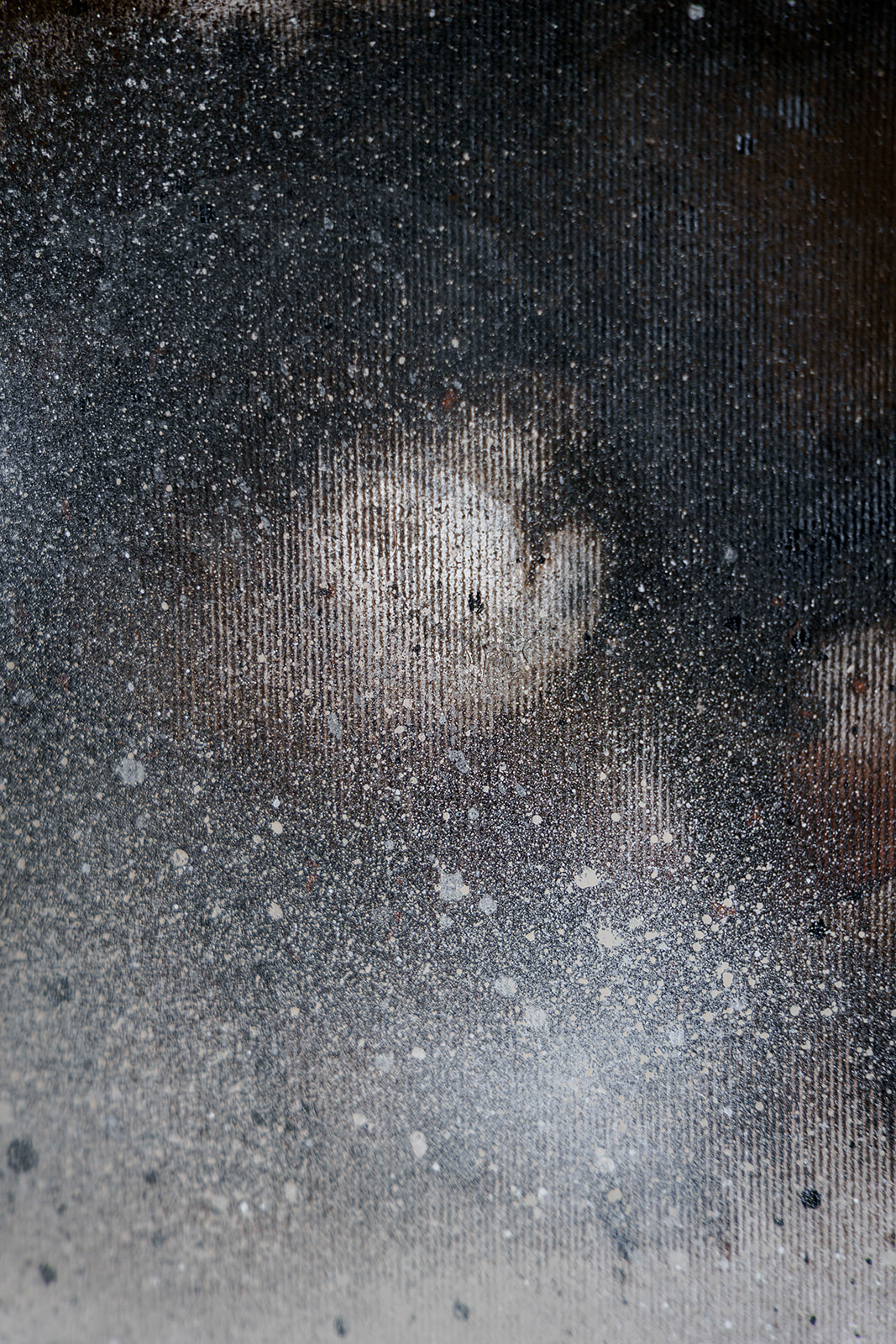 Korzenie - obrazek 9