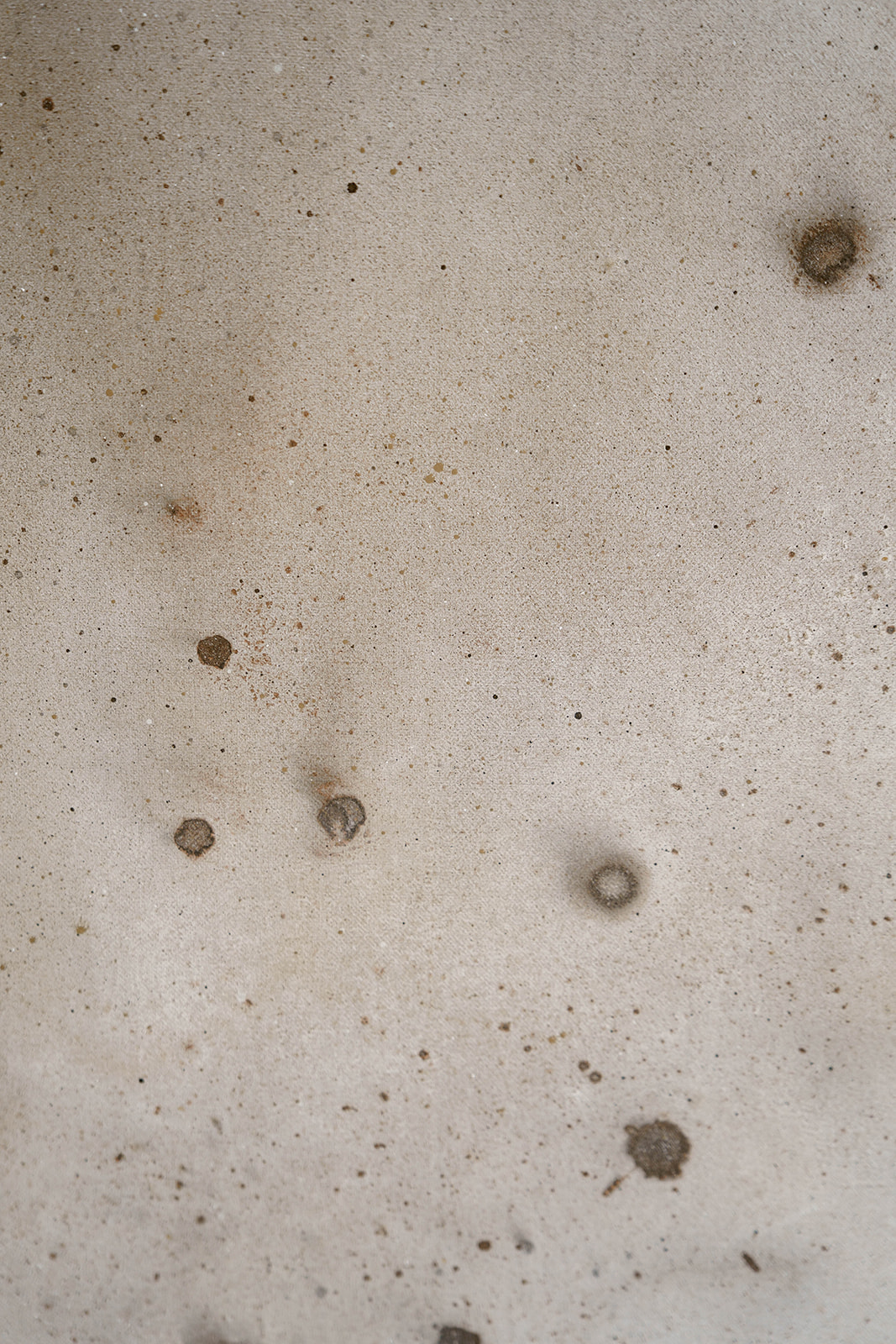 Piegi dna jeziora - obrazek 5