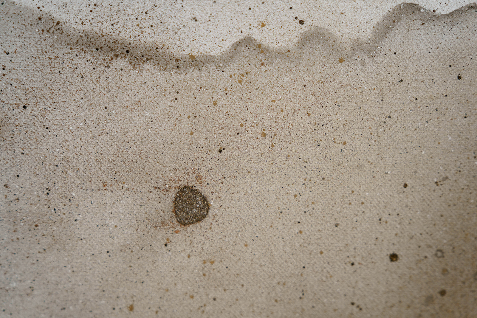 Piegi dna jeziora - obrazek 6