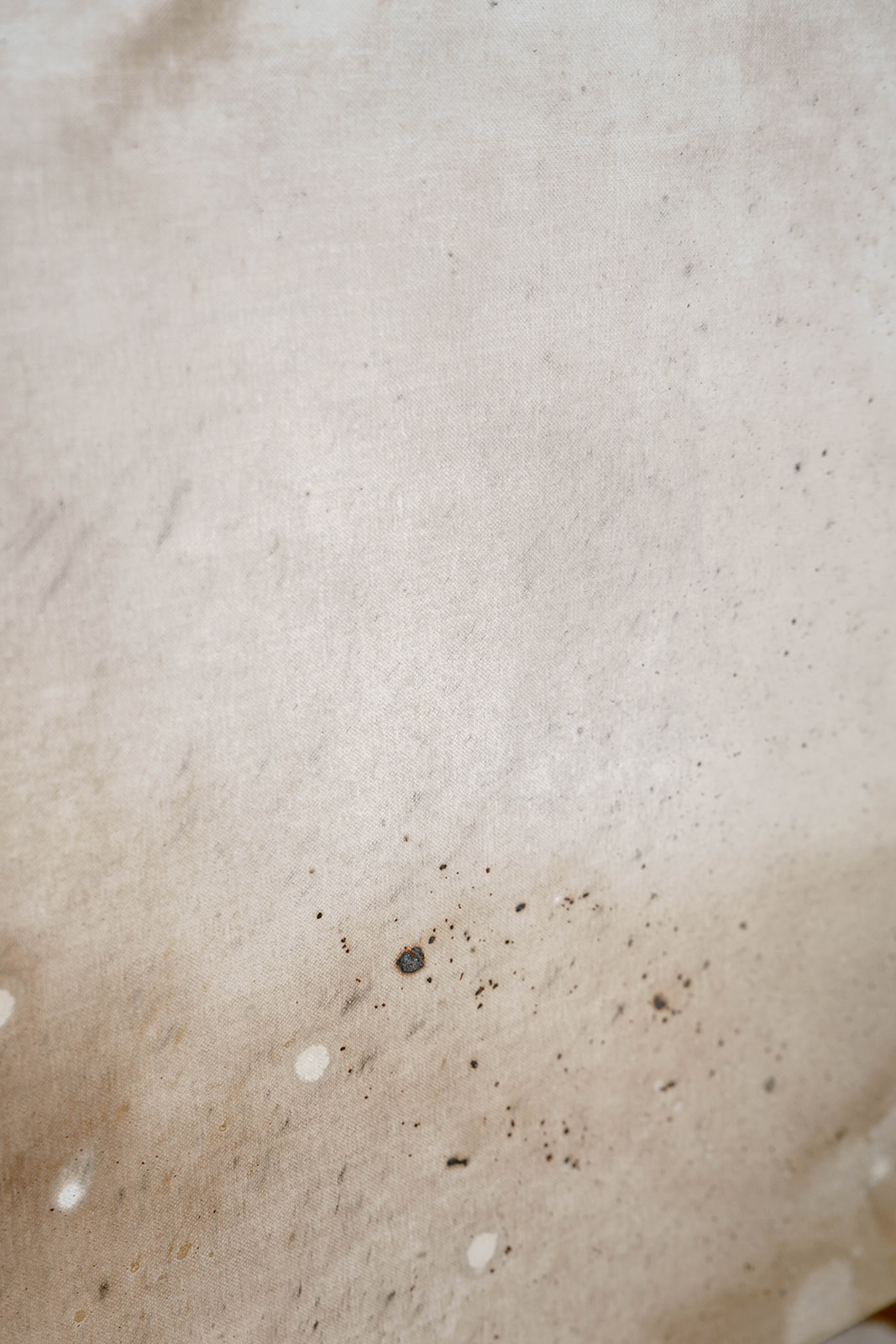 Wiatr ruchomych wydm - obrazek 5