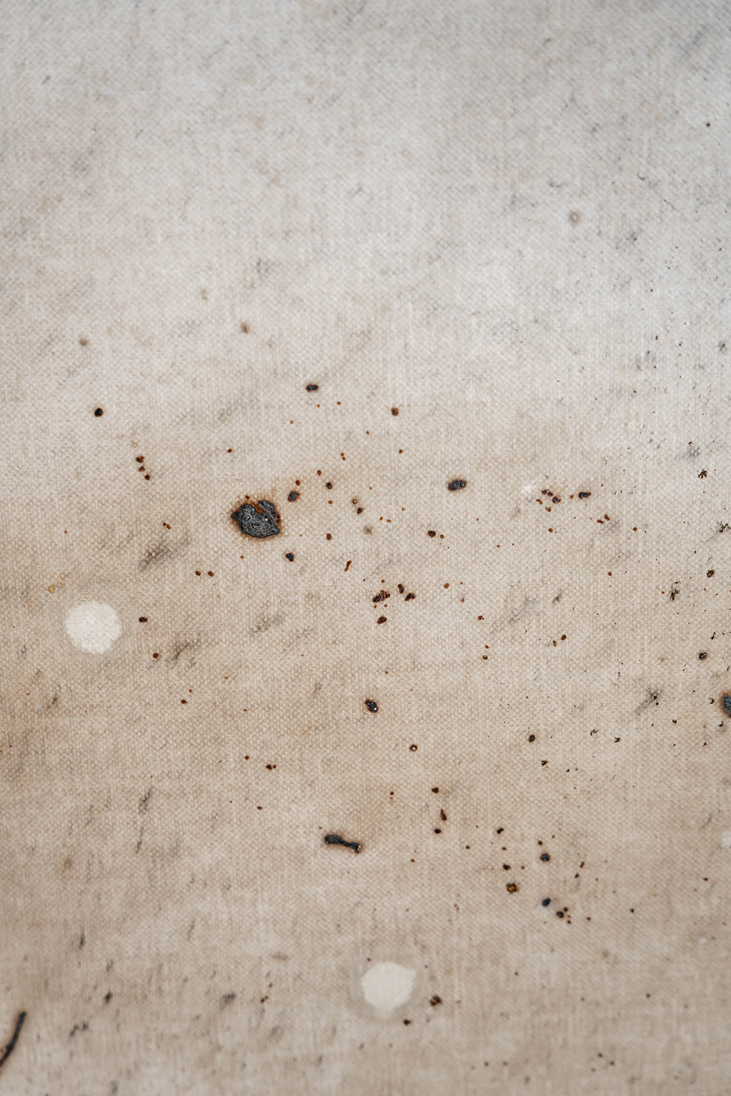 Wiatr ruchomych wydm - obrazek 7