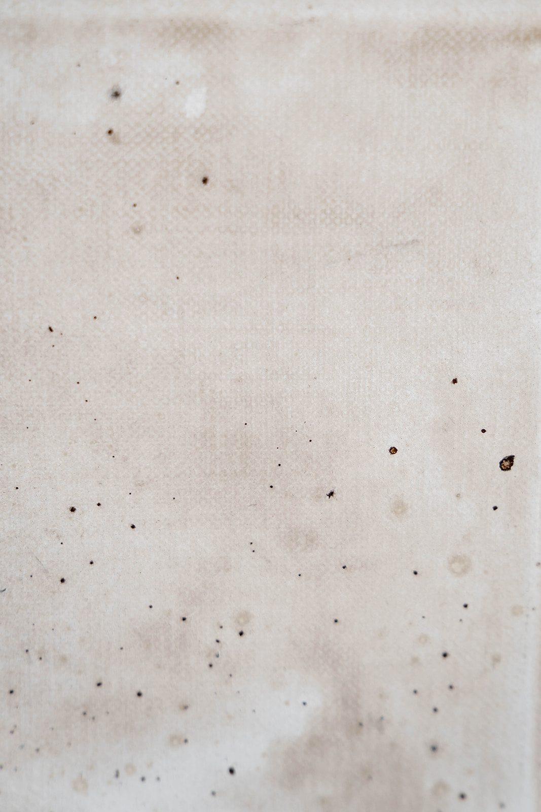 Wiatr ruchomych wydm - obrazek 8