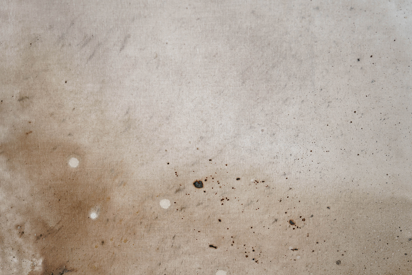 Wiatr ruchomych wydm - obrazek 9