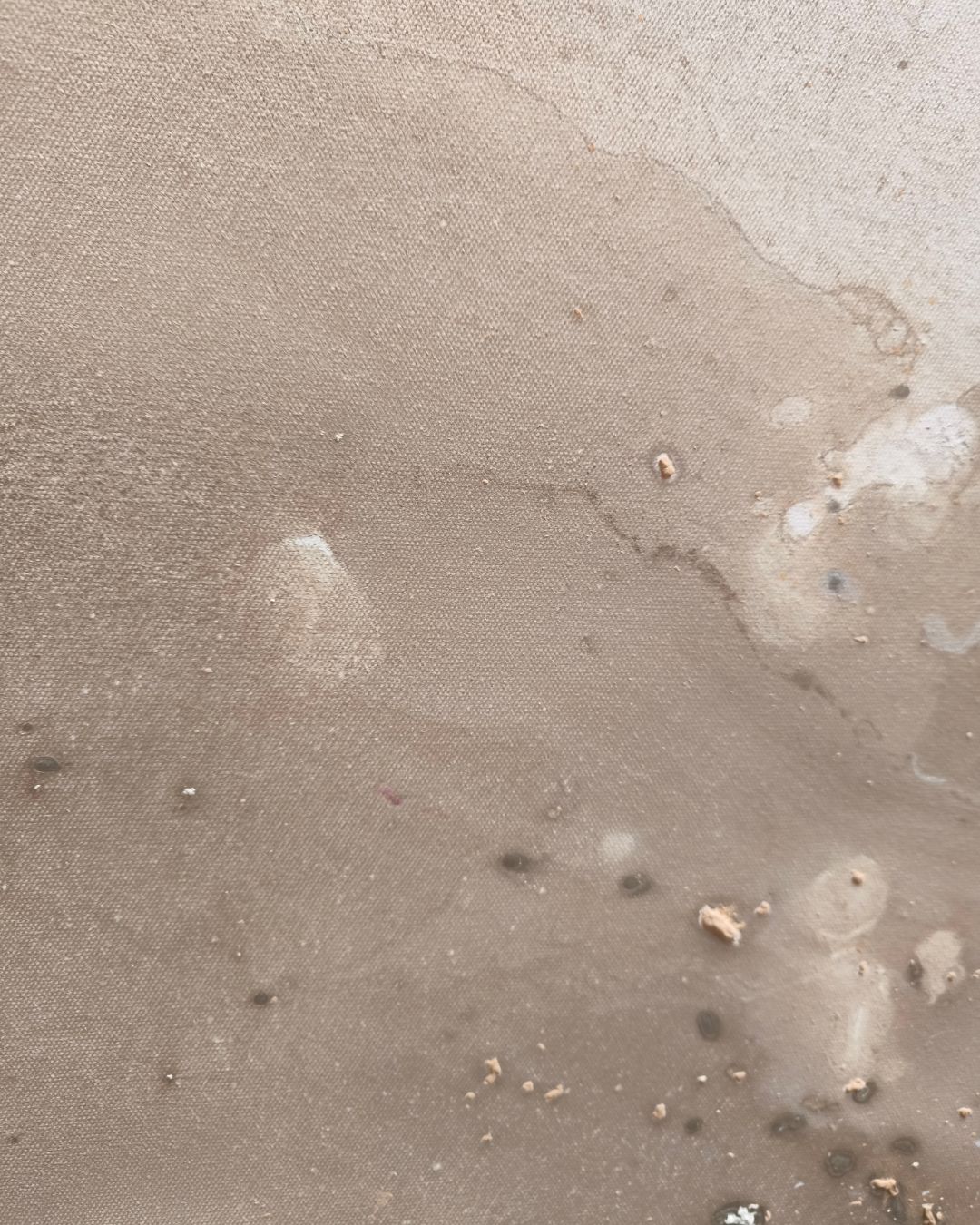 Harmonia - obrazek 2