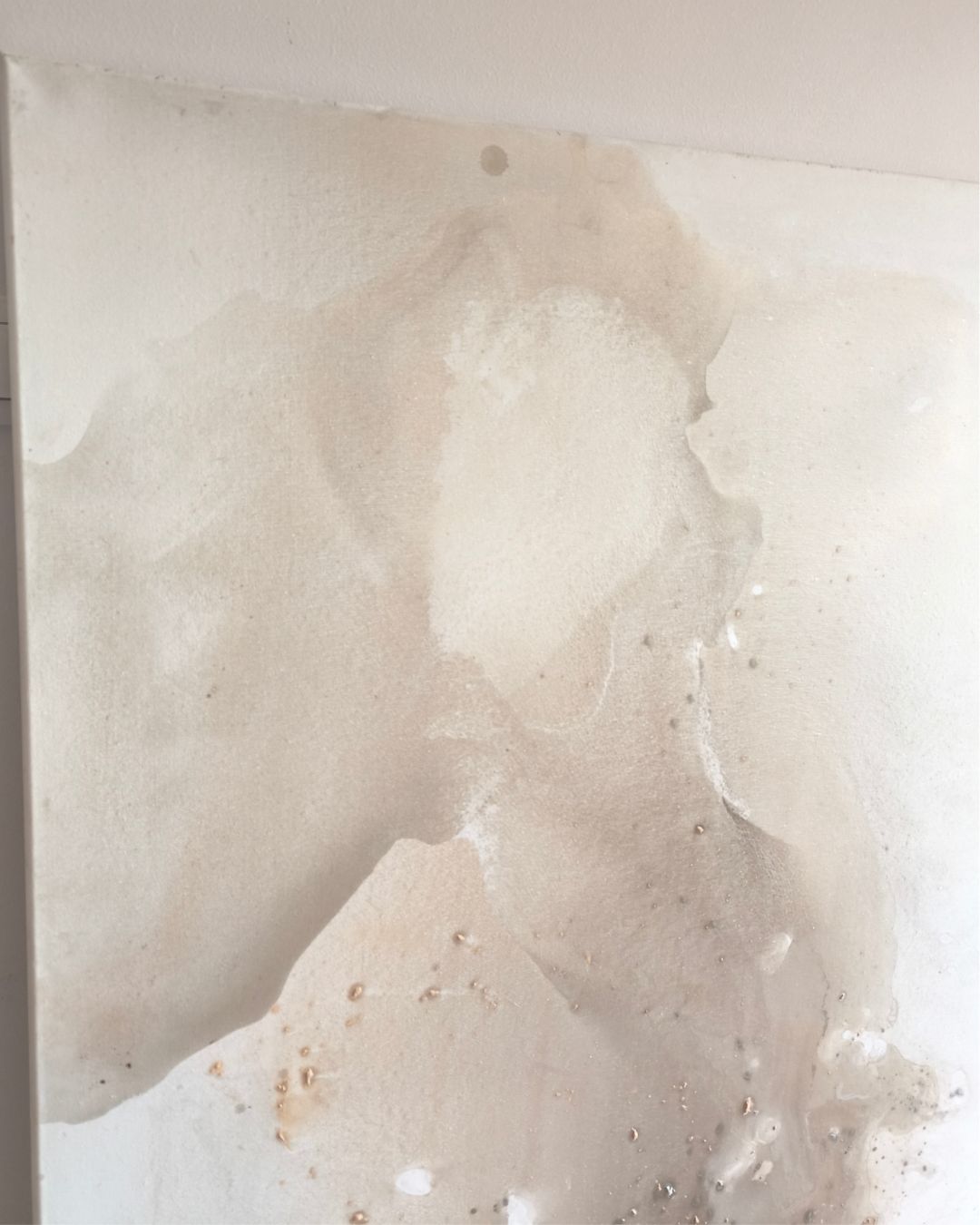 Harmonia - obrazek 11