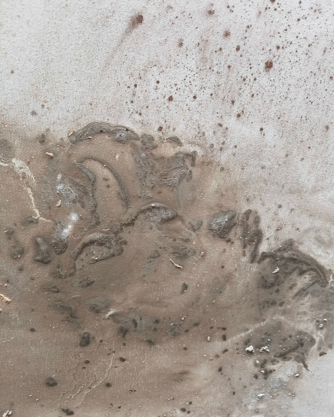 Harmonia - obrazek 3