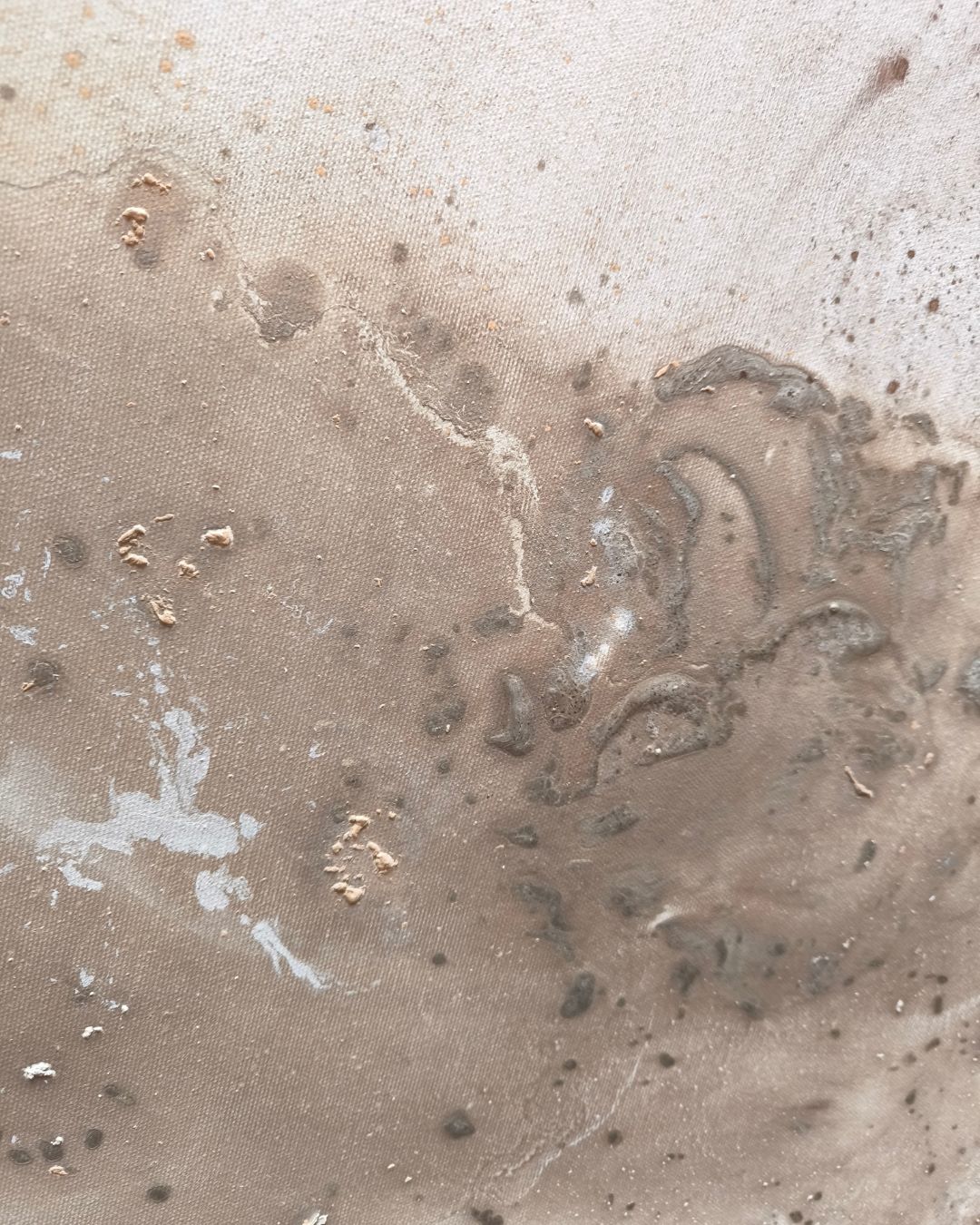 Harmonia - obrazek 4