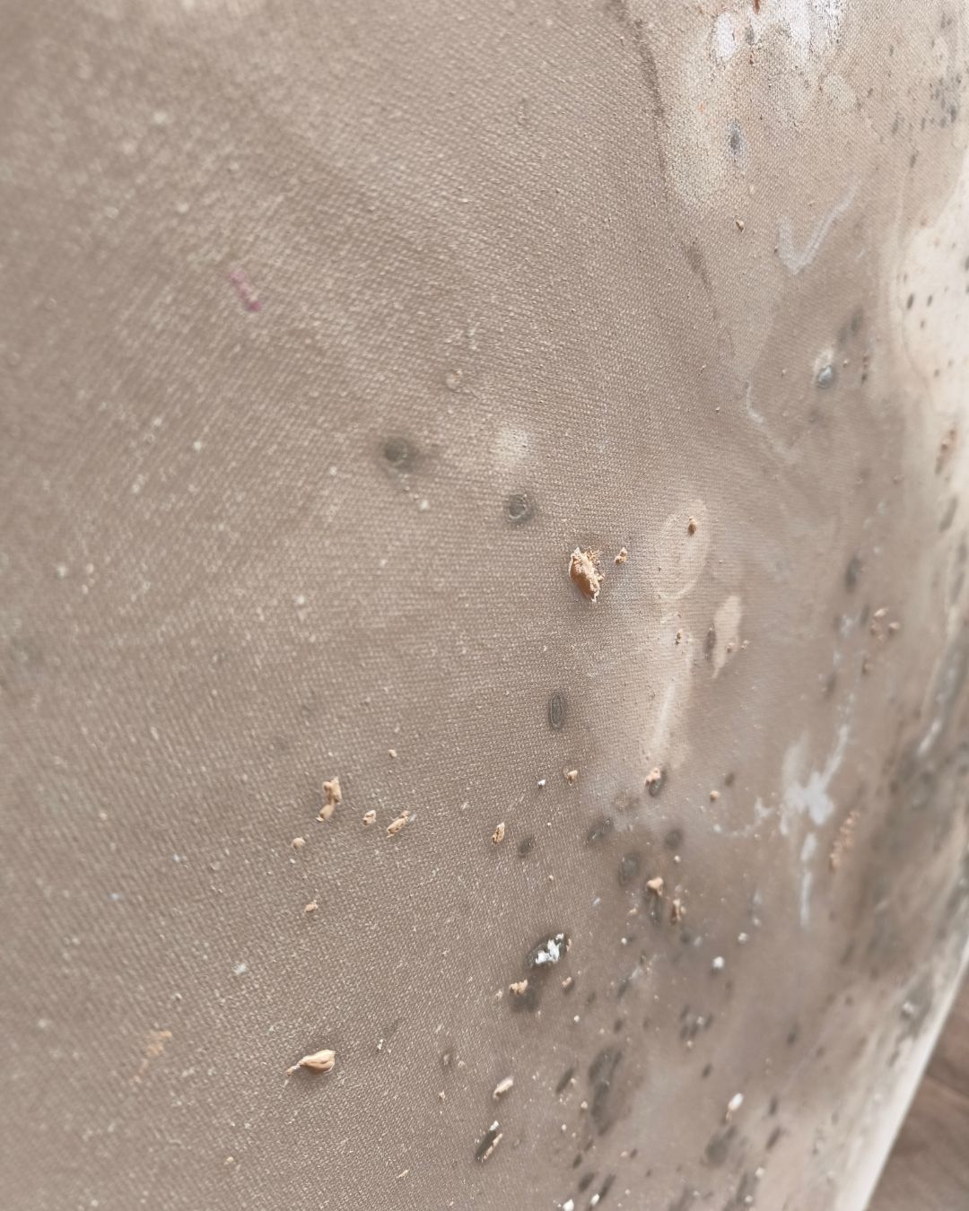 Harmonia - obrazek 5