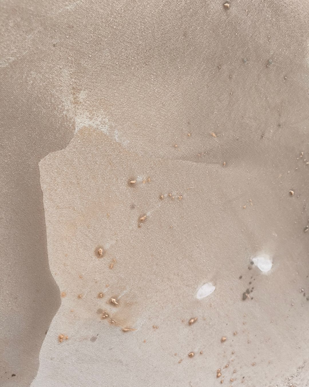 Harmonia - obrazek 7