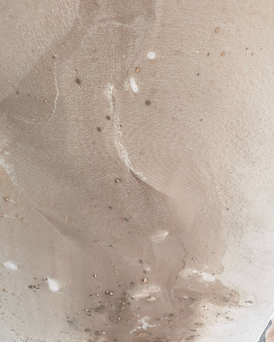 Harmonia - obrazek 8