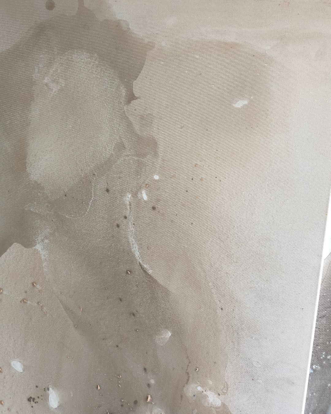 Harmonia - obrazek 9